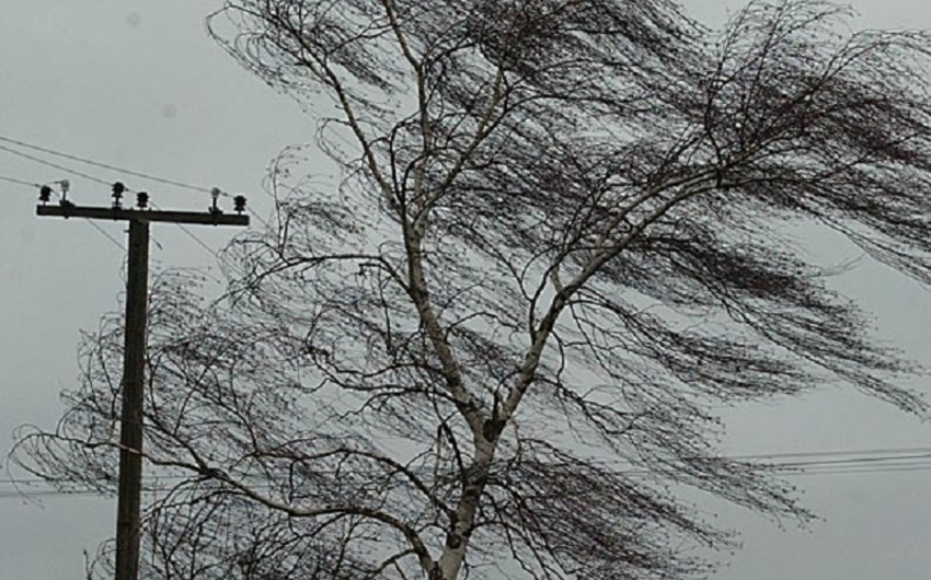 Sabah güclü külək əsəcək - Xəbərdarlıq&nbsp;