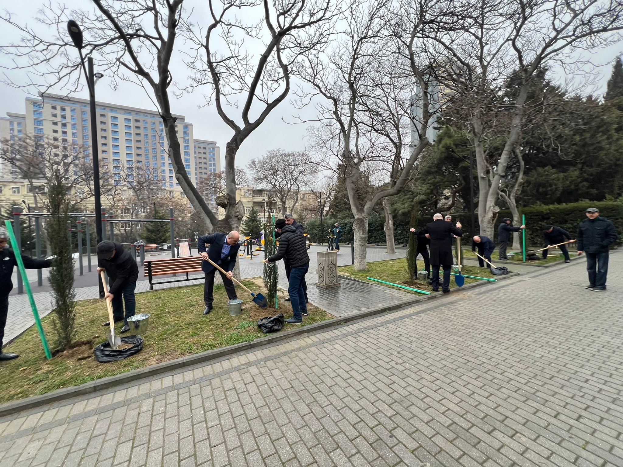 Nəsimi rayonunda iməclikdə yeni agaclar əkilib - FOTOLAR