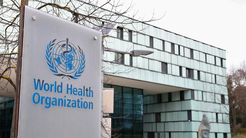 DÜNYANI TƏDİRGİN SALAN YENİ EPİDEMİYA: hantavirus nədir?