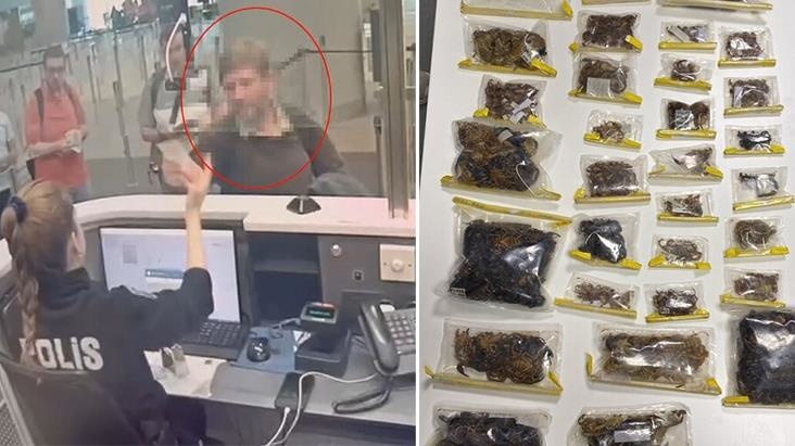 Dünyaca məşhur muzeyin direktor İstanbulda saxlanılıb - 1500 zəhərli heyvana görə (FOTOLAR)
