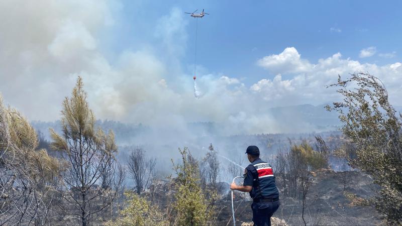 Antalyada meşə yanğını başlayıb