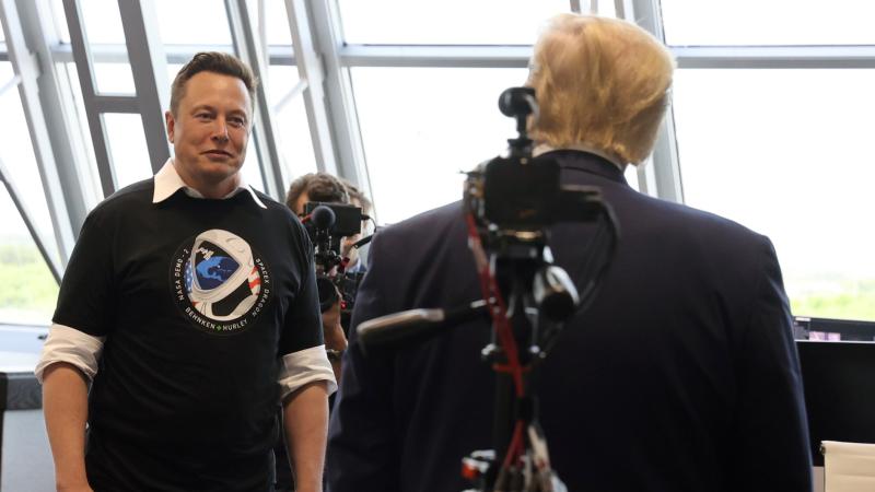 Tramp: "Elon Musk zəhlətökən işlərlə məşğuldur"