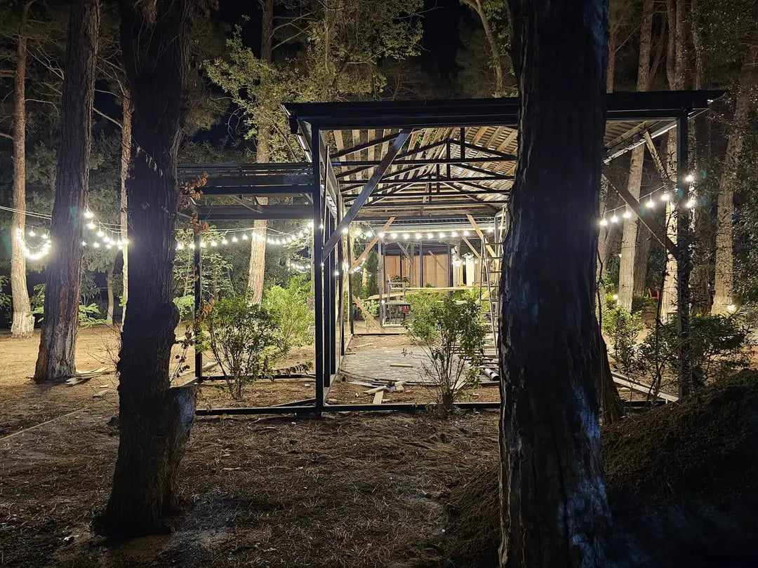 "Sumqayıt meşəliyini hər gün yavaş-yavaş kafe və restoranlar "yeyir" - FOTO