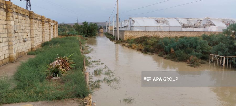 Hacıqabulda evləri su basdı: "Divanda yatmışdım, gördüm&nbsp;ayağıma su dəydi" - VİDEO