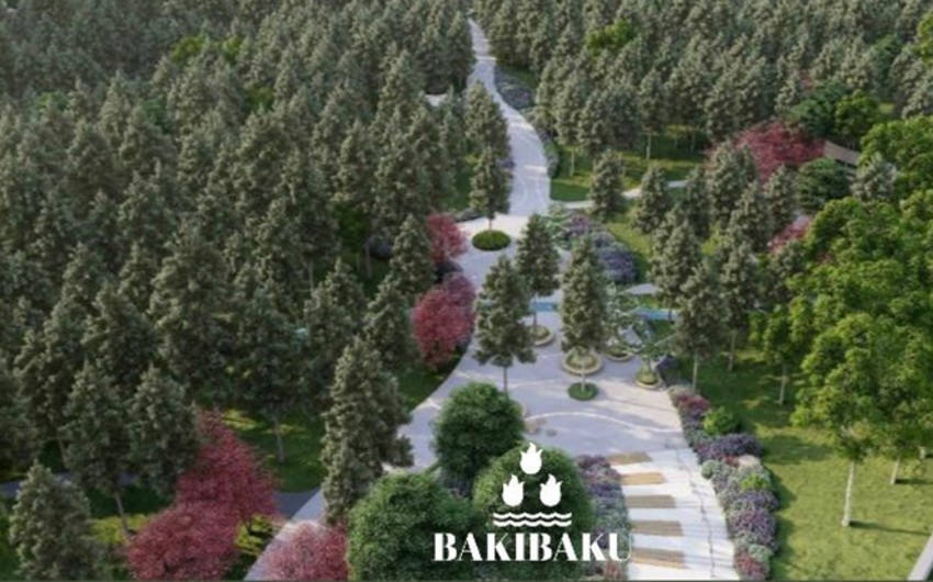Bakının Yasamal rayonunda yerləşən köhnə ağaclıq ərazi abadlaşdırılır