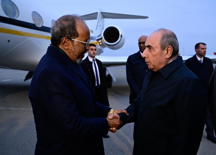 Yaqub Eyyubov Somali prezidentini qarşıladı&nbsp;- FOTOLAR