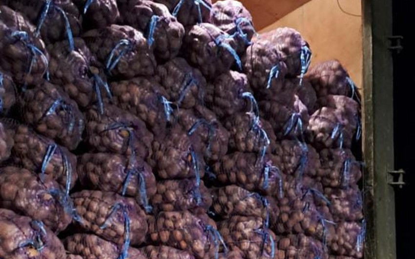 Ölkəmizə gətirilən 47 tondan çox kartof yararsız çıxdı