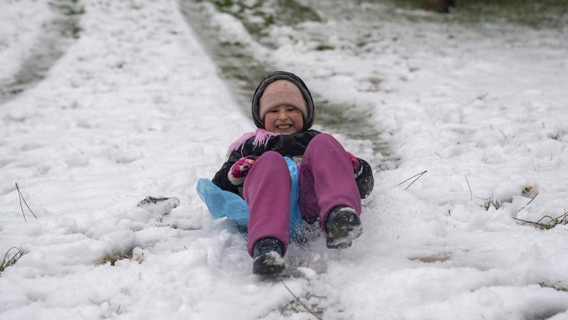 İstanbulda məktəblər bağlanıb - Qara görə