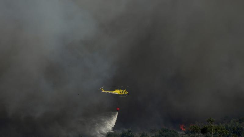 Cənubi Afrikada meşə yanğını: 2600 hektar ərazi kül olub