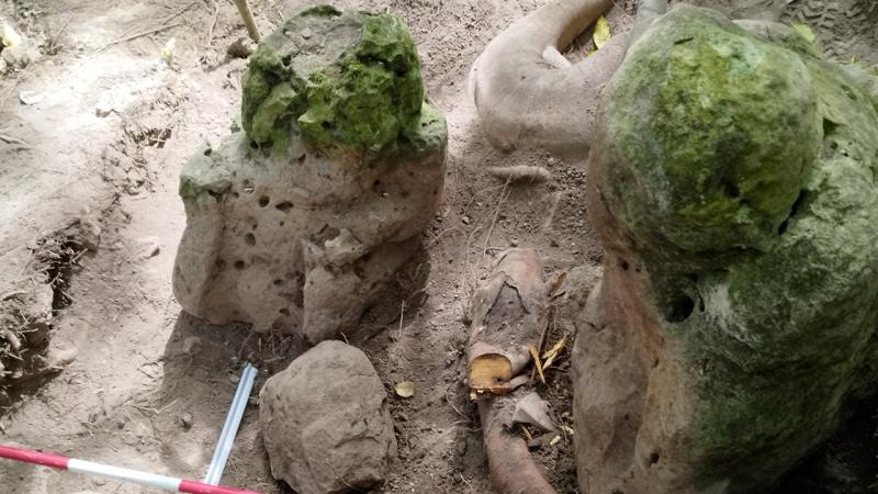 3000 illik Maya şəhərinin qalıqları tapılıb