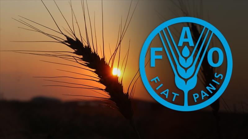 Türkiyə FAO şurasına üzv seçildi - Rusiya və Belarus isə...