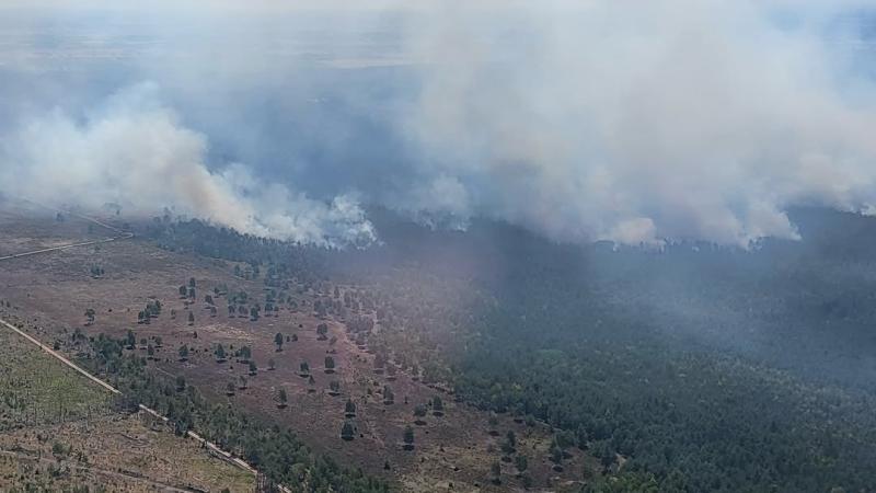 Çanaqqalada meşə yanğını... - 4 kənd boşaldılıb, bəzi evlər yanıb, heyvanlar tələf olub&nbsp;
