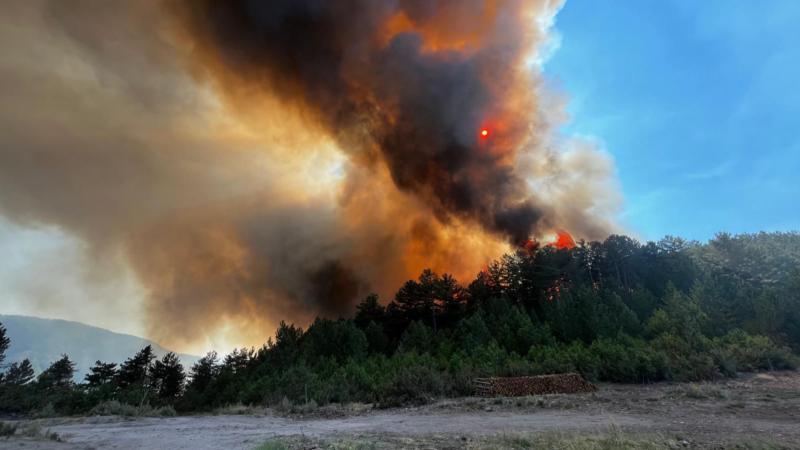Ağdam və Xocavənddəki yanğın söndürülüb (Yenilənib)