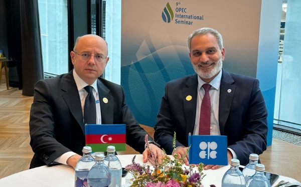 Pərviz Şahbazov: "Qlobal neft bazarının tənzimlənməsi və..."