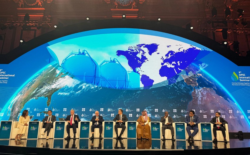 Rövşən Nəcəf OPEC beynəlxalq seminarında - FOTO