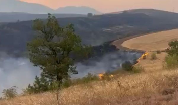 Xocalıda çoban saxlanılıb