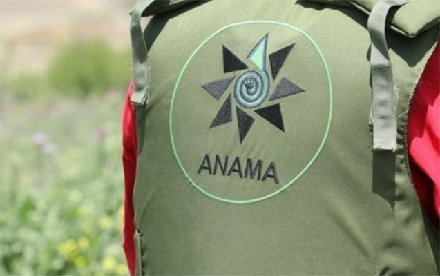ANAMA-nın bölmə rəhbərləri həbs edilib - Sərxoş halda söyüş söydükləri üçün...