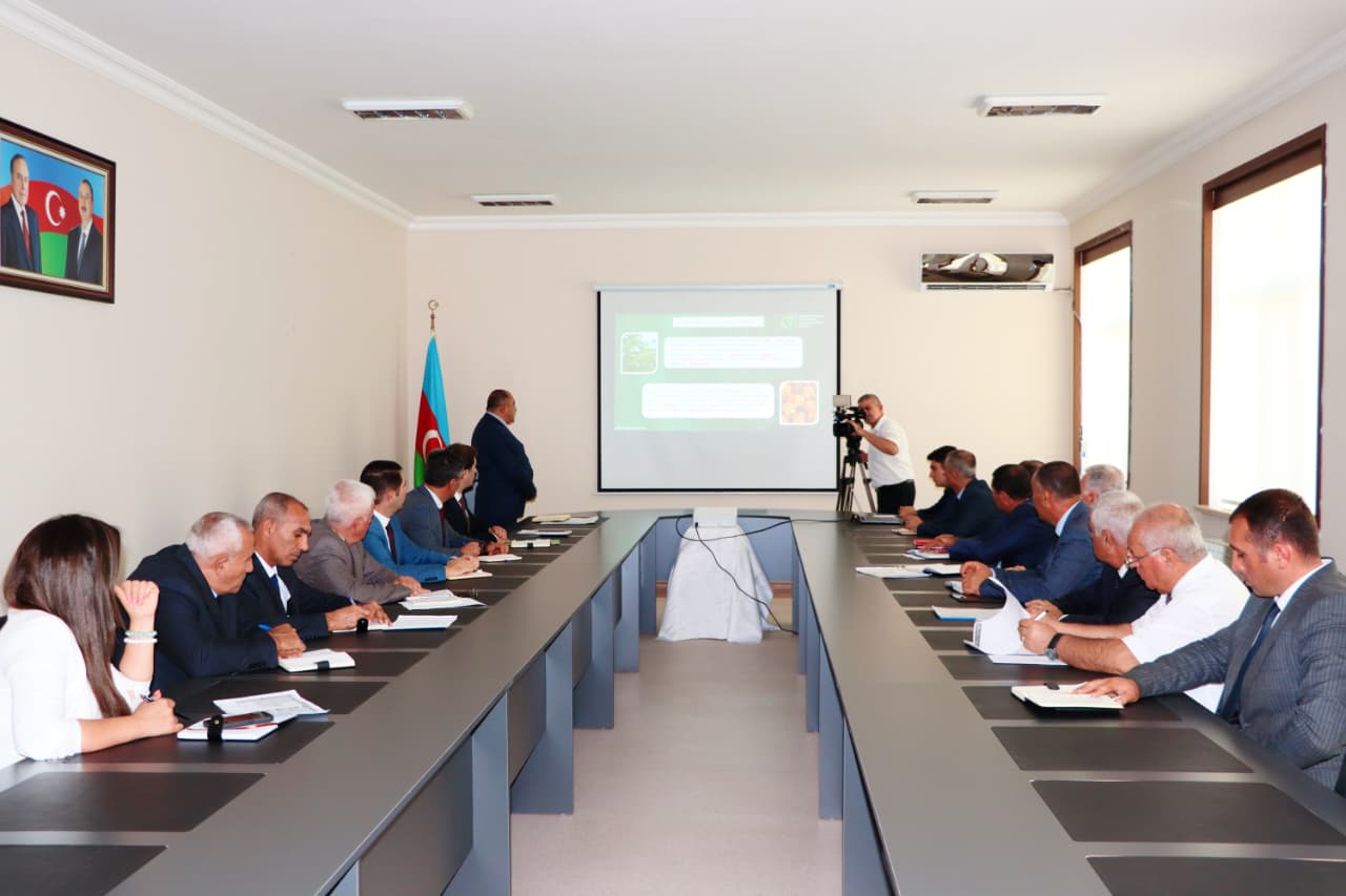 Naxçıvanda ən yüksək əkin subsidiyası məbləğləri təyin edilib - CƏDVƏL