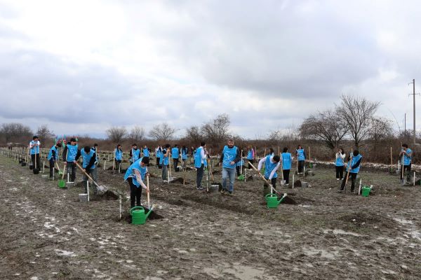 IDEA-nın "Yaşıl marafon" kampaniyası Şəki və Qəbələdə davam etdirilib