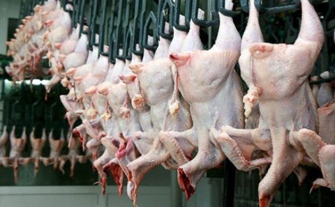 Azərbaycanda toyuq əti bahalaşacaq? - Ekspertdən açıqlama