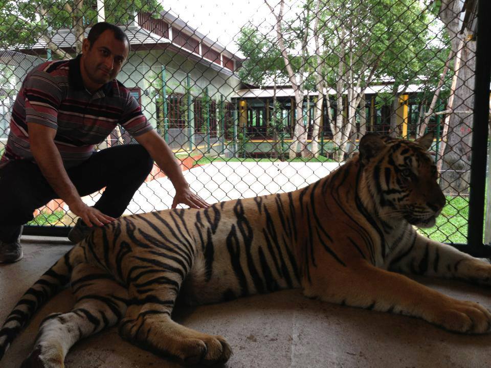 Deputat Adil Əliyev ürəklidir, yoxsa xanım bankir?