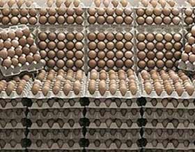 &nbsp;Bu ölkələrdən Azərbaycana quş əti və yumurta idxalı məhdudlaşdırılıb - SİYAHI