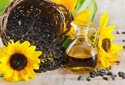 Günəbaxan yağı qıtlığı Fransaya da çatdı 