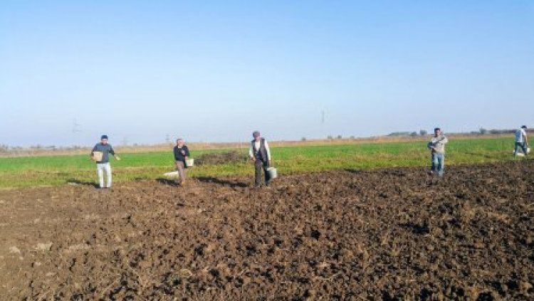 Aqrar ölkəyik AMMA, əksər məhsulları xaricdən alırıq: Torpaq bizdən NİYƏ KÜSDÜ?