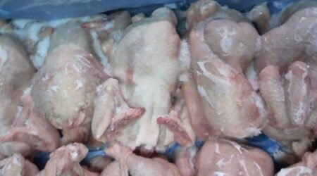 Azərbaycandan iki ölkəyə iribuybuzlu heyvan və toyuqla bağlı QADAĞA 