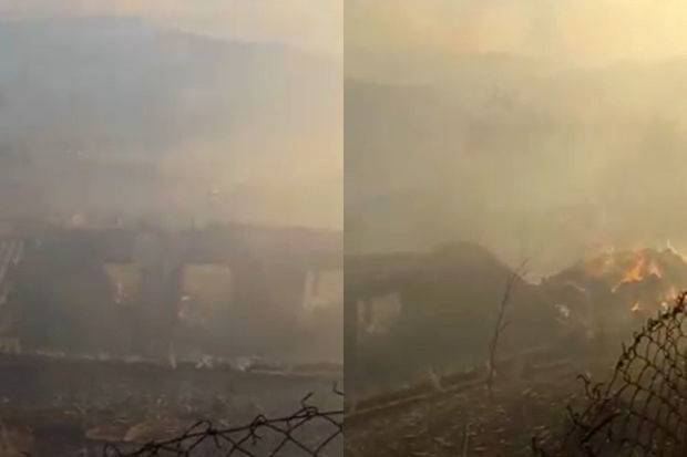 Şabrandakı yanğınla bağlı son MƏLUMAT 