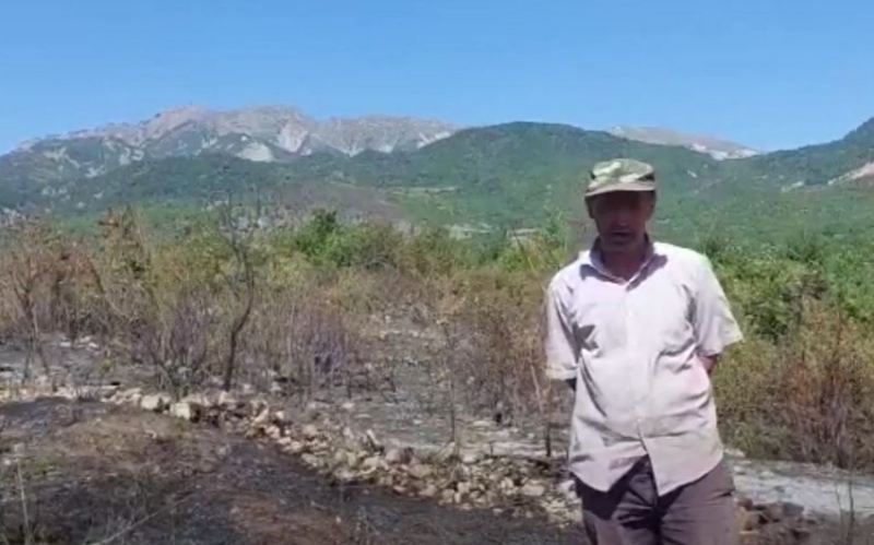 İsmayıllı sakini qəsdən yanğın törədib, 3 hektardan artıq ərazi yanıb - VİDEO