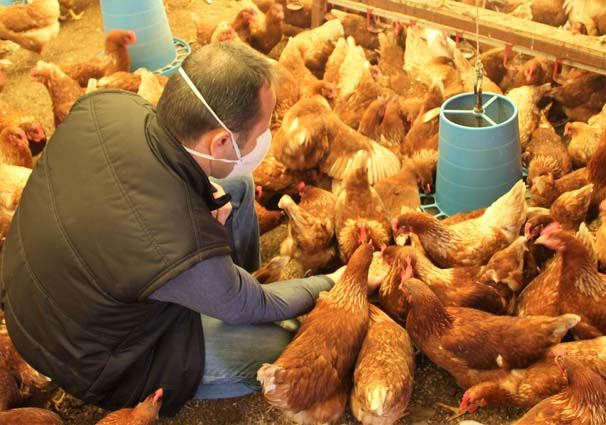 Kasıb ailələr kəndlərinə qayıdıb illik 25 min manatdan çox qazana bilər - İş adamından ailə biznesi PLANI
