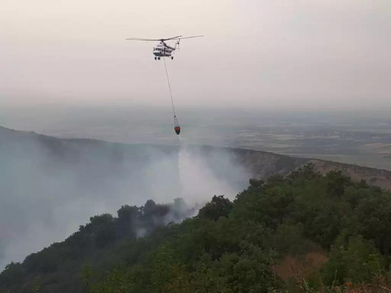 Masallıda dağlıq ərazi yanır: helikopterlər cəlb olundu - Video