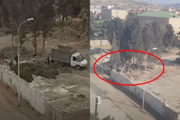 İcra hakimiyyətindən “xəbərsiz” kəsilən ağaclar və tikinti şirkətinin rüşvət cəhdi - VİDEO