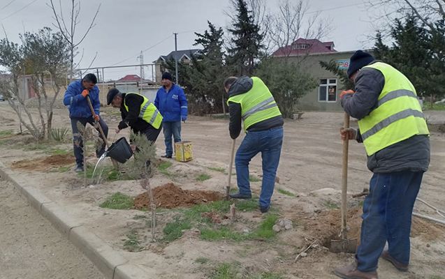 Qaradağda ümumrayon iməciliyi keçirildi 