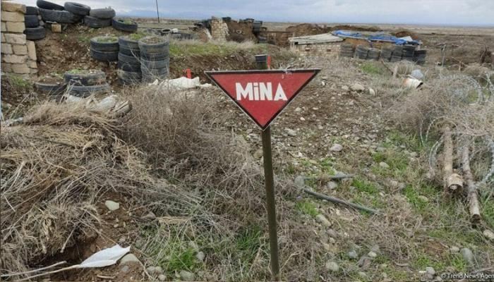 Səfir: “Ermənistan Qarabağda çoxsaylı mina sahələri yaradıb” 