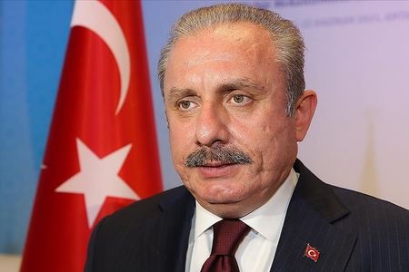 Şentop: “Türkiyə Gürcüstanın NATO-ya üzv olmaq istəyini dəstəkləyir” 