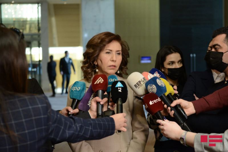 Bahar Muradova: \"Qarabağa qayıdış zamanı qadınların problemləri nəzərə alınmalıldır\"