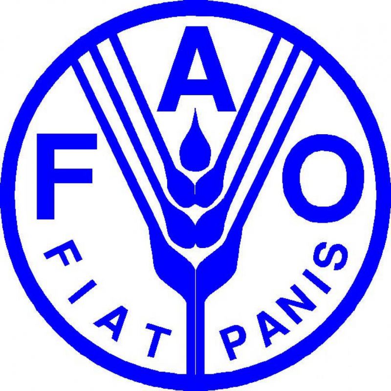 FAO: \"Dünyada ərzaq qiymətləri 22 %-ə qədər arta bilər\" 