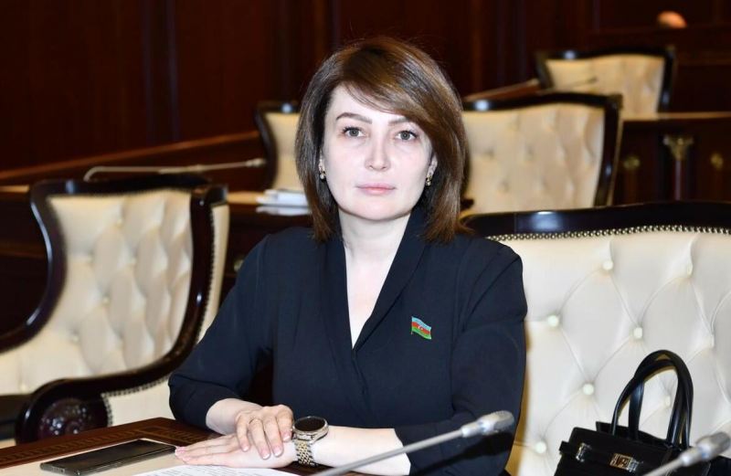 Deputat Jalə Əhmədova: \"Uşaqlarda  anormal görünən hər hansı bir davranış varsa...\" VİDEO