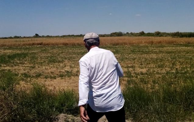 “Qoyunları göyərtilərimi yediyi üçün Natiqi öldürdüm” 