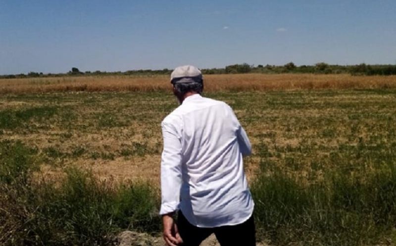 “Qoyunları göyərtilərimi yediyi üçün Natiqi öldürdüm” - Bakıdakı cinayətin TƏFƏRRÜATI