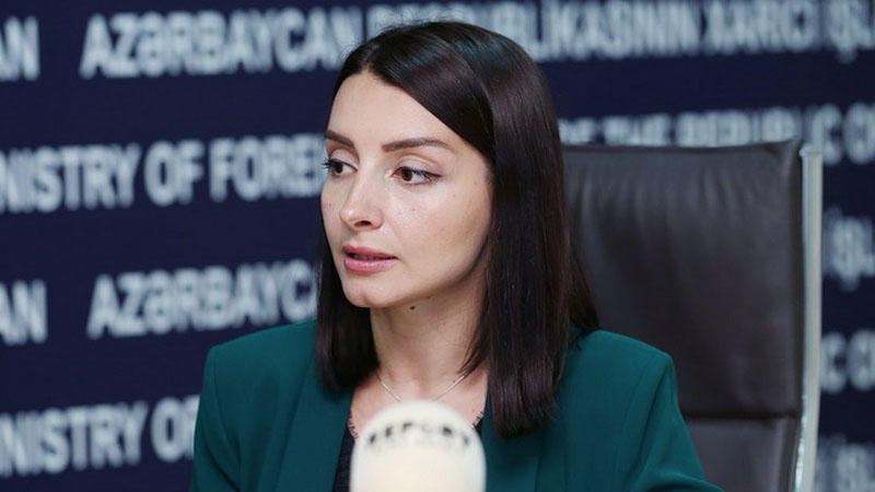 Abdullayeva mina qurbanlarının sayını açıqladı 