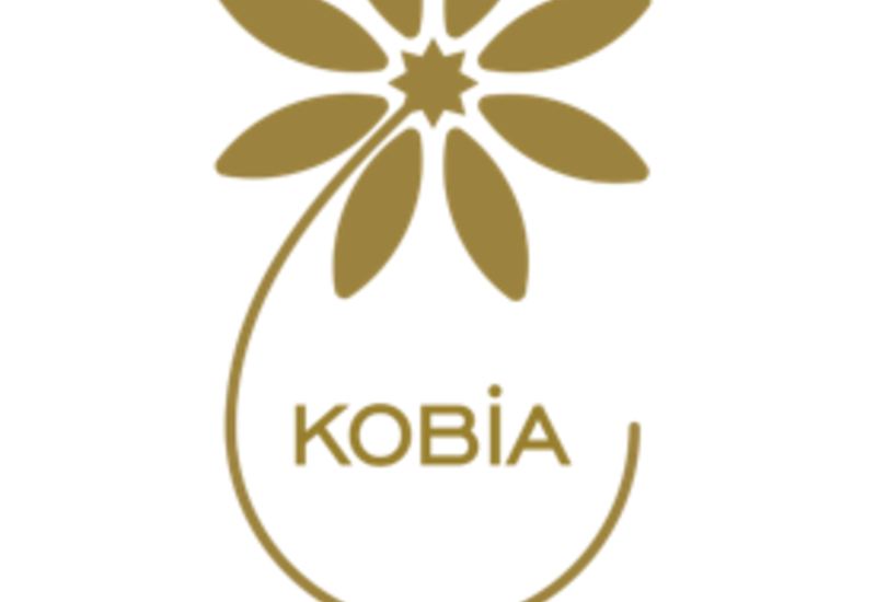 KOBİA: \" 9 ayda KOB evlərində sahibkarlara 50 mindən çox xidmət göstərilib\" 