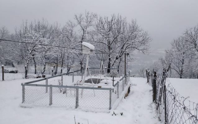 Bu rayona 22 sm qar yağıb - Fotolar 