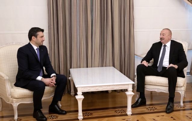 İlham Əliyev Selçuk Bayraktarı qəbul etdi 