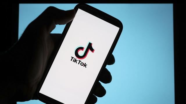 Daha bir ölkədə TikTok-dan istifadə qadağan edildi 