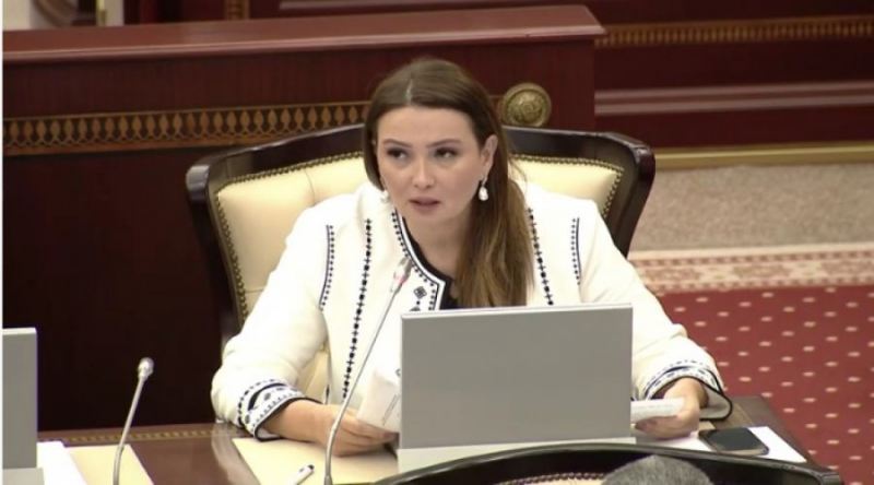 Qənirə Paşayevadan deputatlara şok çağırış: Gəlin maaşımızı...- CANLI 