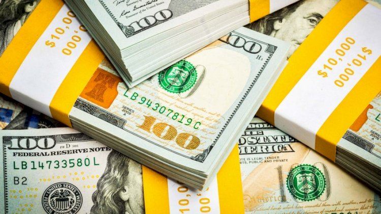 Şirkətin 423 min dollarını mənimsəyən qadına hökm oxundu 