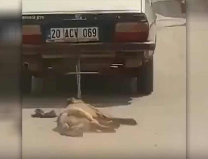 İti zəncirlə avtomobilin arxasına bağlayıb yolda sürüdü - VİDEO